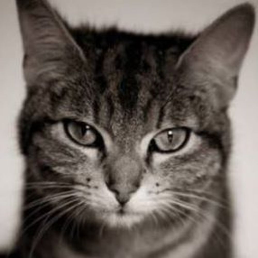 Meet your Posher, Kathleen